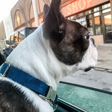Load image into Gallery viewer, Hemp Clasp Collar - Downtown Dog