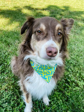 Load image into Gallery viewer, Aqua and Lime Plant Bandana
